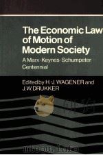 THE ECONOMIC LAW OF MOTION OF MODERN SOCIETY   1986  PDF电子版封面  0521300924   