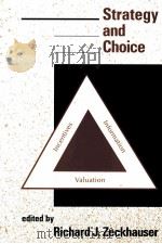 STRATEGY AND CHOICE   1991  PDF电子版封面  0262240335   