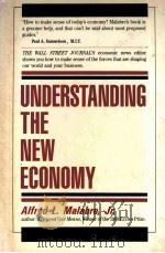 UNDERSTANDING THE NEW ECONOMY   1989  PDF电子版封面  1556231172   