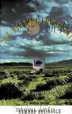 The Virtual Community Homesteading on the Electronic Frontier revised edition   1993  PDF电子版封面  0262681218   