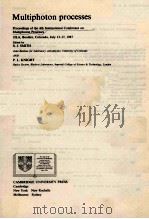 MULTIPHOTO PROCESSES   1988  PDF电子版封面     