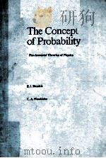THE CONCEPT OF PROBABILITY   1989  PDF电子版封面  9027726795   