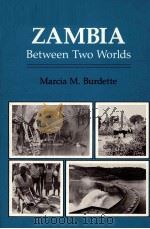 ZAMBIA BETWEEN TWO WORLDS   1988  PDF电子版封面  0865316171   