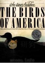 THE BIRDS OF AMERICA   1985  PDF电子版封面  0025044508   