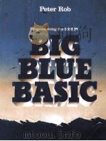 BIG BLUE BASIC PROGRAMMINGTHE IBM PC AND COMPATIBLES   1985  PDF电子版封面    PETER ROB 