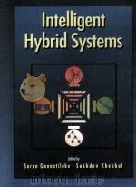 INTELLIGENT HYBRID SYSTEMS（1995 PDF版）