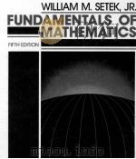 FUNDAMENTS OF MATHEMATICS   1989  PDF电子版封面  9780024092014   