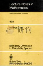 LECTURE NOTES IN MATHEMATICS 892: BILLINGSLEY DIMENSION IN PROBABILITY SPACES   1981  PDF电子版封面  3540111646;0387111646   
