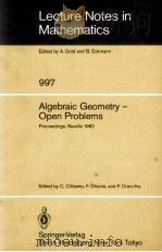 LECTURE NOTES IN MATHEMATICS 997: ALGEBRAIC GEOMETRY - OPEN PROBLEMS   1983  PDF电子版封面  3540123202;0387123202   