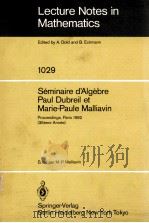 LECTURE NOTES IN MATHEMATICS 1029: SEMINAIRE D'ALGEBRE PAUL DUBREIL ET MARIE-PAULE MALLIAVIN   1983  PDF电子版封面  3540126996;0387126996   