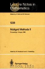 LECTURE NOTES IN MATHEMATICS 1228: MULTIGRID METHODS II   1986  PDF电子版封面  3540171983;0387171983   