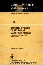 LECTURE NOTES IN MATHEMATICS 1146: SEMINAIRE D'ALGEBRE PAUL DUBREIL ET MARIE-PAULE MALLIAVIN   1985  PDF电子版封面  3540156860;0387156860   