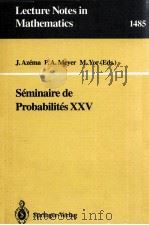 LECTURE NOTES IN MATHEMATICS 1485: SEMINAIRE DE PROBABILITES XXV（1991 PDF版）
