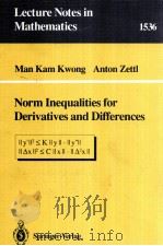 NORM INEQUALITIES FOR DERIVATIVES AND DIFFERENCES   1992  PDF电子版封面  3540563873;0387563873   