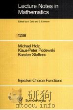 LECTURE NOTES IN MATHEMATICS 1238: INJECTIVE CHOICE FUNCTIONS（1987 PDF版）