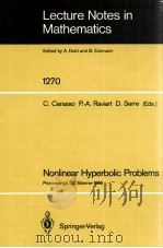 LECTURE NOTES IN MATHEMATICS 1270: NONLINEAR HYPERBOLIC PROBLEMS   1987  PDF电子版封面  3540182004;0387182004   