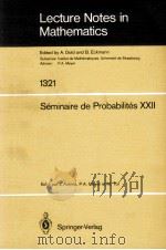 LECTURE NOTES IN MATHEMATICS 1321: SEMINAIRE DE PROBABILITES XXII（1988 PDF版）