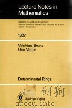 LECTURE NOTES IN MATHEMATICS 1327: DETERMINANTAL RINGS   1988  PDF电子版封面  3540194681;0387194681   
