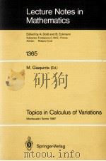 LECTURE NOTES IN MATHEMATICS 1365: TOPICS IN CALCULUS OF VARIATIONS   1989  PDF电子版封面  3540507272;0387507272   