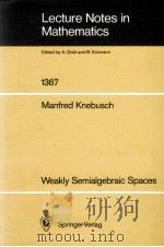 LECTURE NOTES IN MATHEMATICS 1367: WEAKLY SEMIALGEBRAI SPACES   1989  PDF电子版封面  3540508155;0387508155   