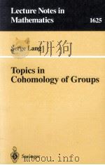 TOPICS IN COHOMOLOGY OF GROUPS（1996 PDF版）