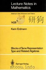 LECTURE NOTES IN MATHEMATICS 1428: BLOCKS OF TAME REPRESENTATION TYPE AND RELATED ALGEBRAS   1990  PDF电子版封面  3540527095;0387527095   