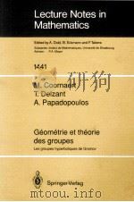 LECTURE NOTES IN MATHEMATICS 1441: GEOMETRIE ET THEORIE DES GROUPES（1990 PDF版）