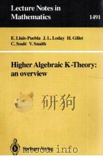 HIGHER ALGEBRAIC K-THEORY:AN OVERVIEW   1992  PDF电子版封面  3540550070;0387550070   
