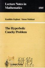 THE HYPERBOLIC CAUCHY PROBLEM   1991  PDF电子版封面  3540550186;0387550186   