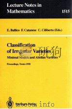 CLASSIFICATION OF IRREGULAR VARIETIES（1992 PDF版）