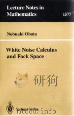 WHITE NOISE CALCULUS AND FOCK SPACE   1994  PDF电子版封面  3540579850;0387579850   