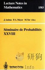 SEMINAIRE DE PROBABILITES XXVIII（1994 PDF版）