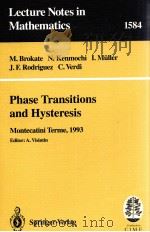 PHASE TRANSITIONS AND HYSTERESIS   1994  PDF电子版封面  9783540583868   