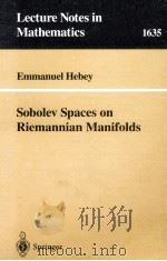 SOBOLEV SPACES ON RIEMANNIAN MANIFOLDS   1996  PDF电子版封面  9783540617228   