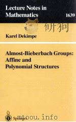 ALMOST-BIEBERBACH GROUPS: AFFINE AND POLYNOMIAL STRUCTURES   1996  PDF电子版封面  9783540618997   