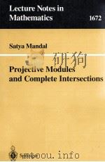 PROJECTIVE MODULES AND COMPLETE INTERSECTIONS   1997  PDF电子版封面  9783540635642   