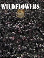 WILD FLOWERS  A PORTRAIT OF THE NATURAL WORLD   1997  PDF电子版封面  1577170288   