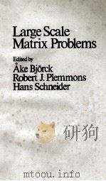 LARGE SCALE MATRIX PROBLEMS   1981  PDF电子版封面     