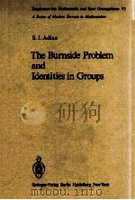 THE BURNSIDE PROBLEM AND IDENTITIES IN GROUPS   1970  PDF电子版封面  3540087281;0387087281   