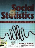 SOCIAL STATISTICS:A USER-FRIENDLY APPROACH   1995  PDF电子版封面  0205140041   