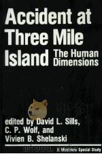 ACCIDENT AT THREE MILE ISLAND:THE HUMAN DIMENSIONS   1982  PDF电子版封面  086531165X   