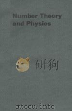 NUMBER THEORY AND PHYSICS   1990  PDF电子版封面  3540521291;0387521291   