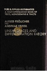 LINEAR SPACES AND DIFFERENTIATION THEORY   1988  PDF电子版封面  0471917869   