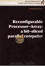 Reconfigurable Processor-Array:a bit-sliced parallel computer   1989  PDF电子版封面  0262680572   