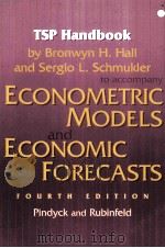 ECONOMETRIC MODELS AND ECONOMIC FORECASTS FOURTH EDITION   1998  PDF电子版封面  0070259402   