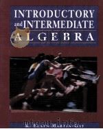 INTRODUCTORY AND INTERMEDIATE ALGEBRA   1996  PDF电子版封面  013341504X   