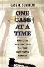 ONE CASE AT A TIME   1999  PDF电子版封面  0674637909   