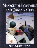 MANAGERIAL ECONOMICS AND ORGANIZATION   1996  PDF电子版封面  0023002921   