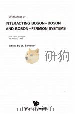 WORKSHOP ON INTERACTING BOSON-BOSON AND BOSON-FERMION SYSTEMS   1984  PDF电子版封面  9971966824   