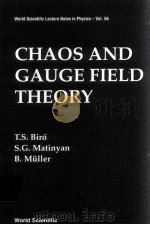 CHAOS AND GAUGE FIELD THEORY   1994  PDF电子版封面  9810220790   